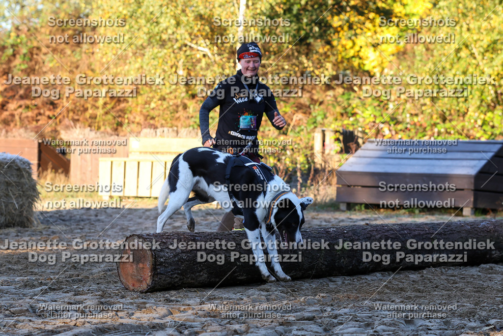 Dog Paparazzi - Strongdog 10-25-688 | Dog Paparazzi Jeanette Grottendiek Fotografie & Videografie - Realisiert mit Pictrs.com