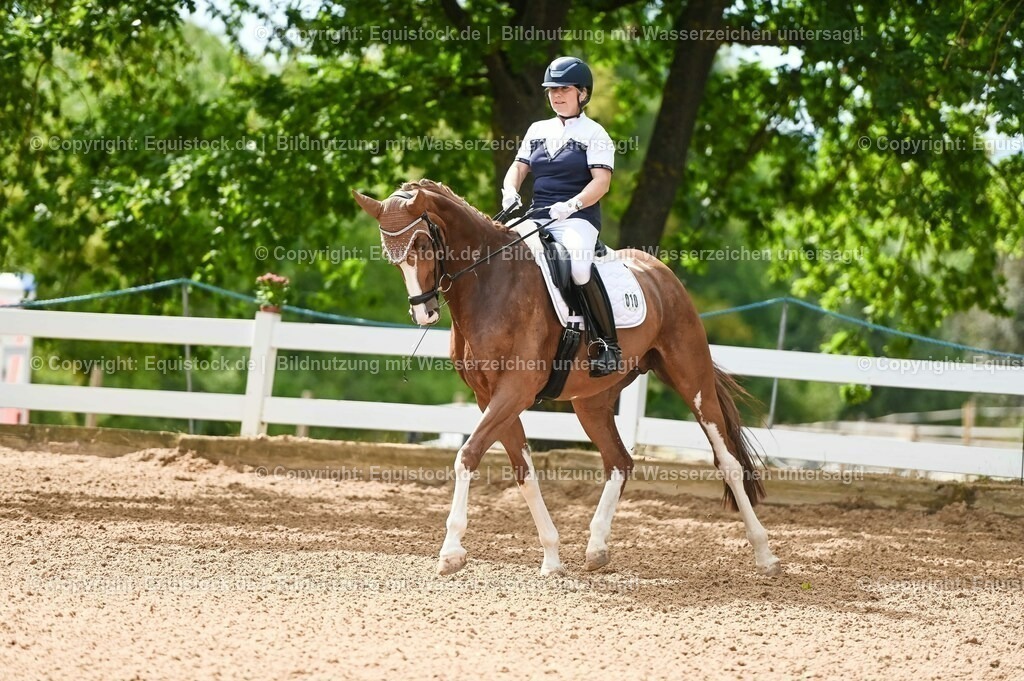 20230715_07_Dressurpferdeprfg. Kl.L_0019 | equistock