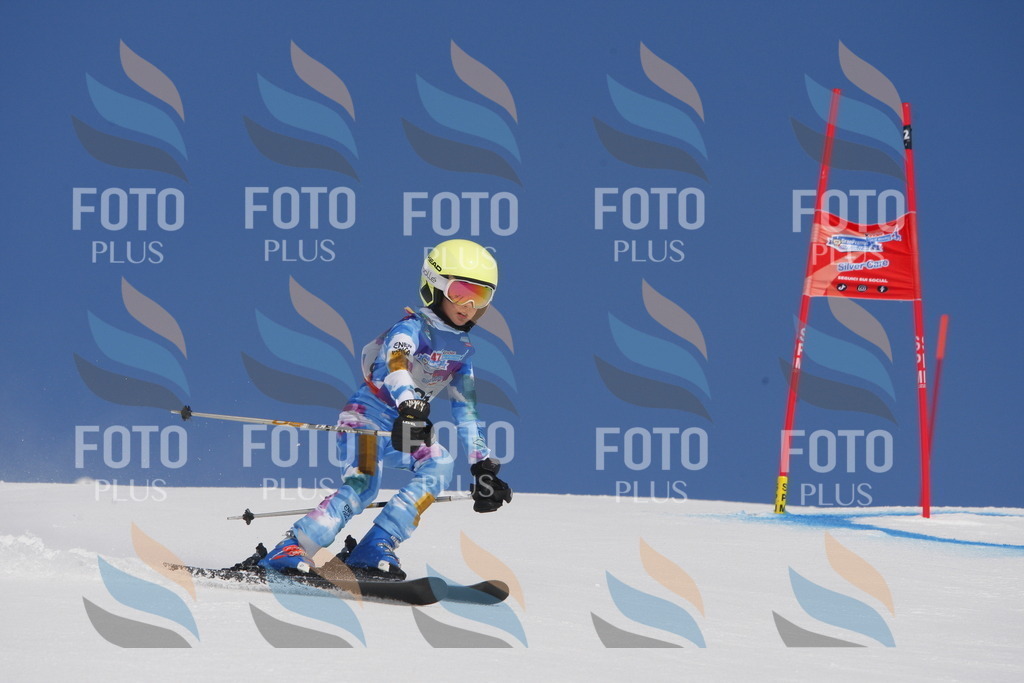 _W1G0382 | holidayphoto