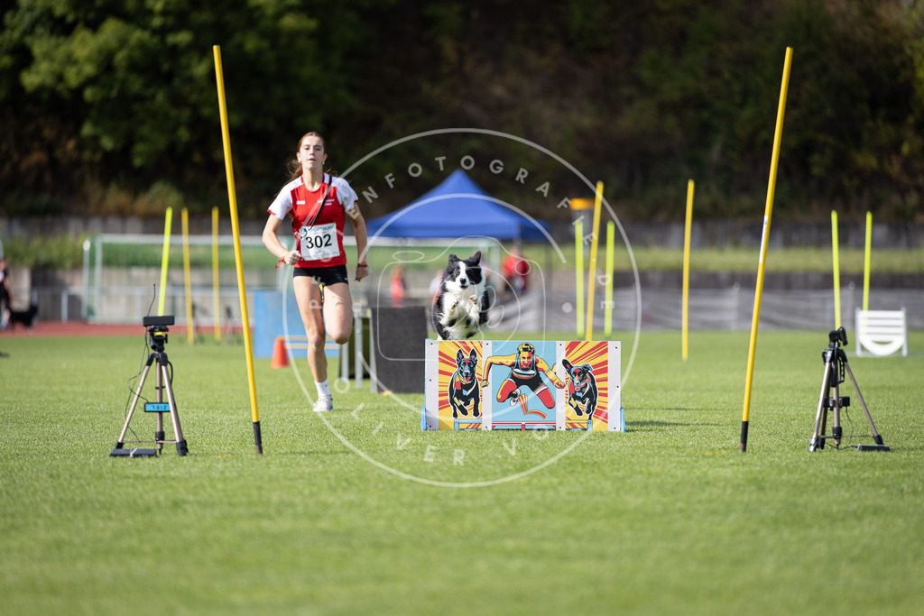 Pfotenfotografie_DV3A1201 | Hundefotografie, Tierfotograf, Pfotenfotografie, Fotoshooting Hund, Hunde Portrait, Hundesport, Hundeportraits, Heideshooting, Hunde, Sportfotograf, Hundefotograf, Turnierhundsport, THS,  - Realisiert mit Pictrs.com