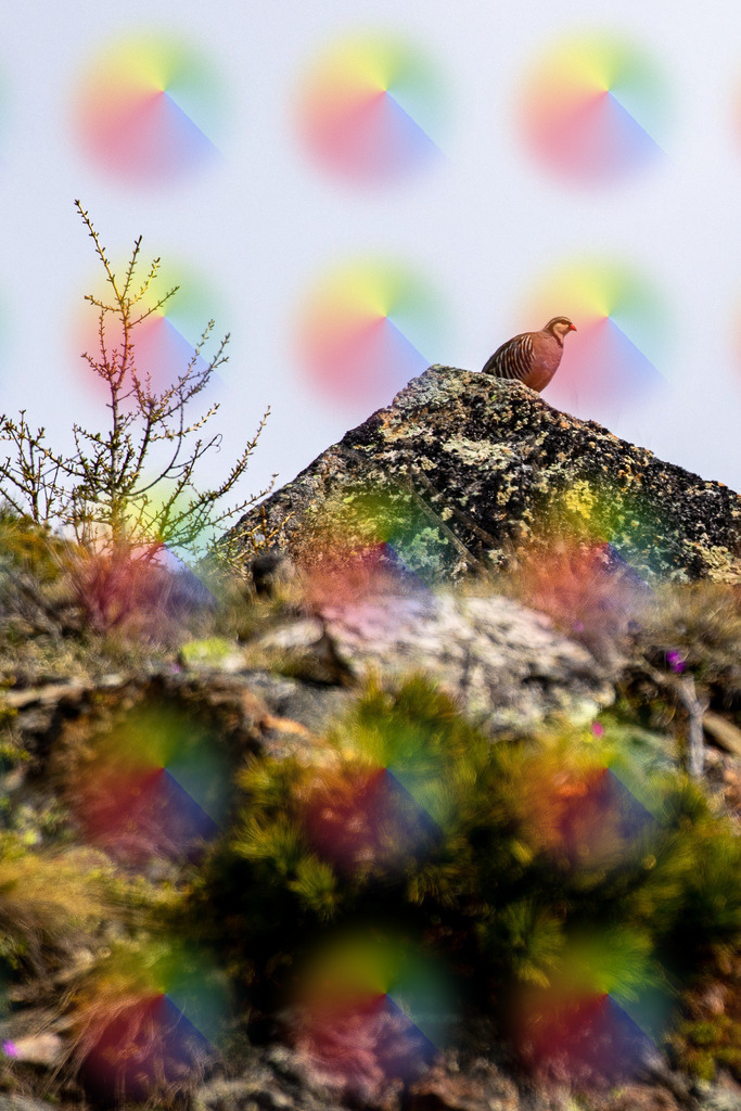 20230528-7J9A5655 | FineArtPrint, Hahnemühle, FeeGalerie, Fee Galerie, Fotokunst, Fotografie, Canonphotography, Bergfoto, Matterhorn, Rimpfischhorn, Allalinhorn, Saas-Fee, Wallis, Valais, Switzerland, Bergfotografie