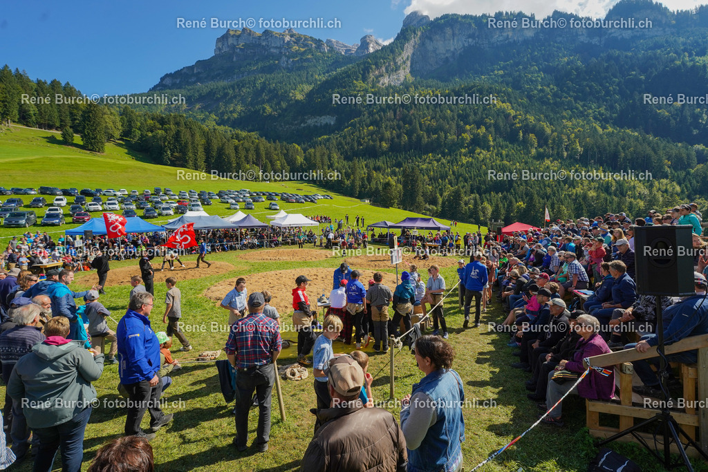 DSC01227 | René Burch leidenschaftlicher Fotograf aus Kerns in Obwalden.  Hier finden sie Sport, Landschaft und Natur Fotografie.
 - Realisiert mit Pictrs.com