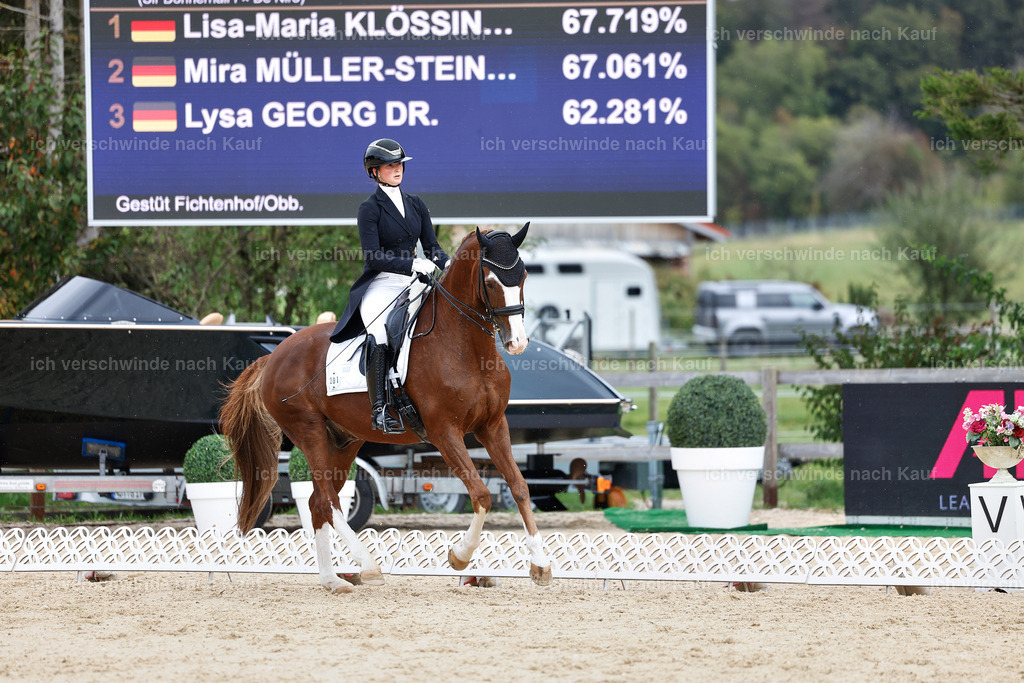 11-201-Dressur S___-StoibPH-952 | working equitationturnier fotograf videograf stoibphotography marixx film working equitation deutschland reitsport turnierfotografie eventfotografie equestrian events