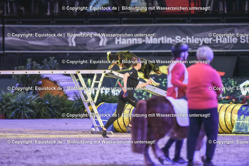 20231115_Dog-Agility_0093_TOMsPiC | Foto: Thomas Hartig
