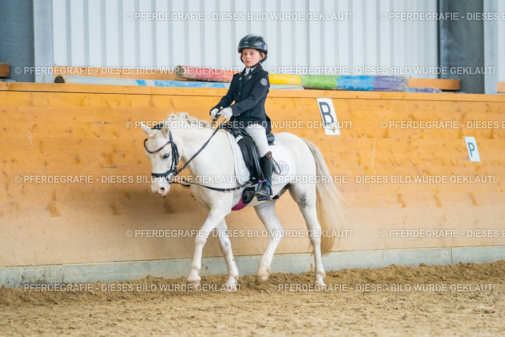 DSC01095 | Pferdegrafie