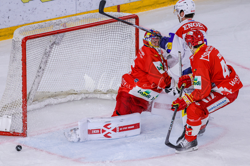 EHCB vs EHCK_wb-0542 | Sportbilder, Sportfotograf, Hochzeits- und Eventfotografin, Flugshows, Portraits und Tiershooting, Aviation, Downhill, Nationalleague, Swissleague, International