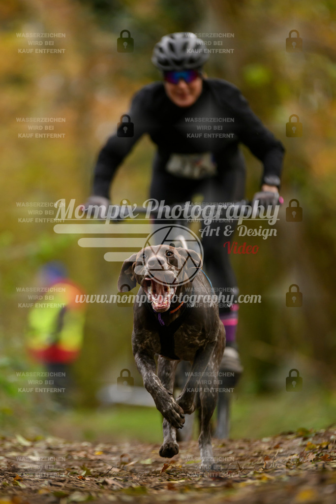 MompixPhotography_Bischwiller24_SA_VTT-35 | PayLife