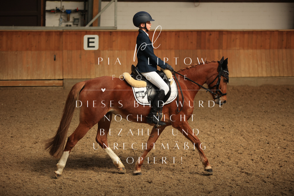 IMGT5152 | pl-fotografie