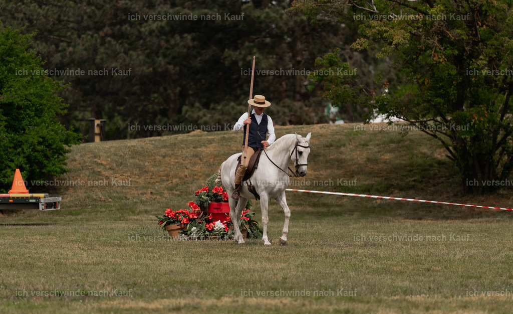 Showprogramm-107 | working equitationturnier fotograf videograf stoibphotography marixx film working equitation deutschland reitsport turnierfotografie eventfotografie equestrian events