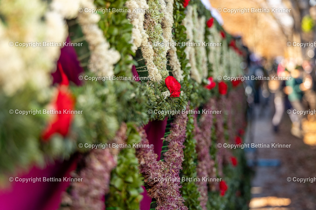 LBT25-1196 | foto-bettina-krinner - Realisiert mit Pictrs.com