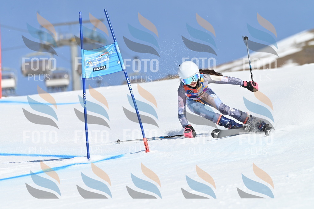 BGV_8155 | holidayphoto