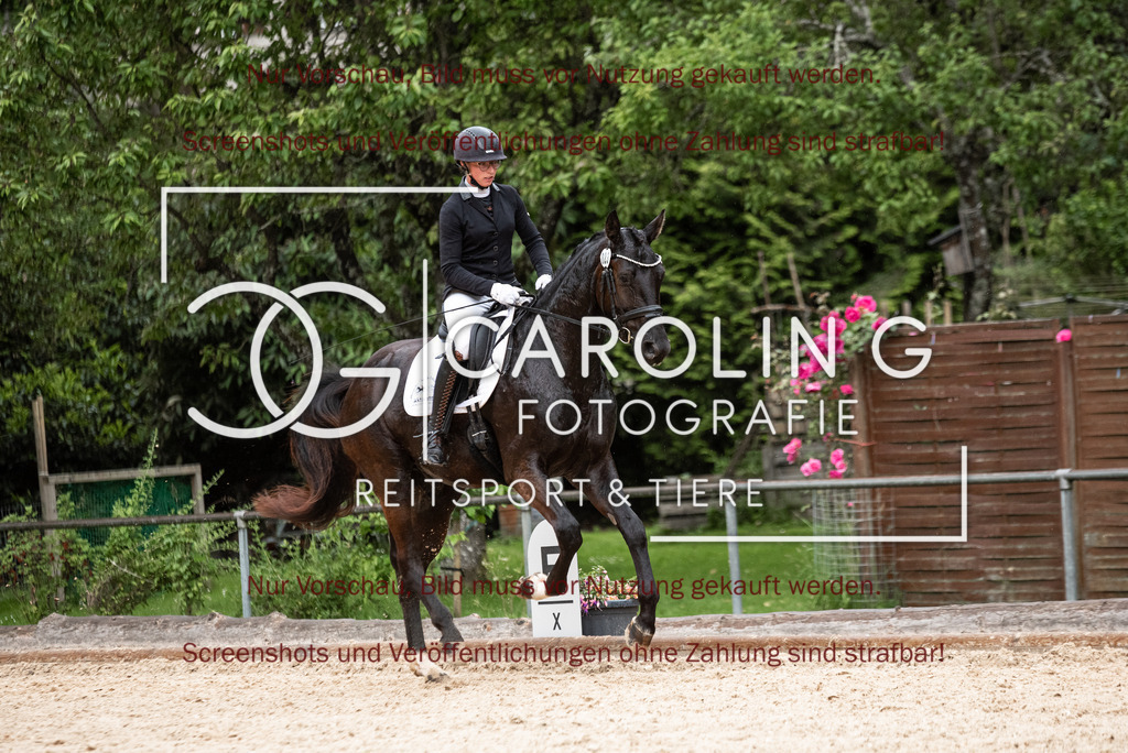 DSC_3222 | Turnierfotografin Carolin Gieschke,Reitsport Turnierfotografie Carolin G Fotografie | Turnierfotos aus Kirchheim/Teck, Esslingen, Stuttgart und dem Bodenseekreis