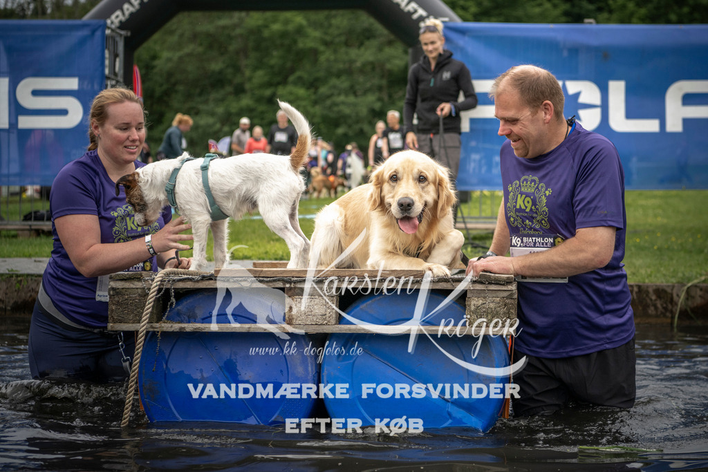 1005_ZZ94135 | kk-dogfotos