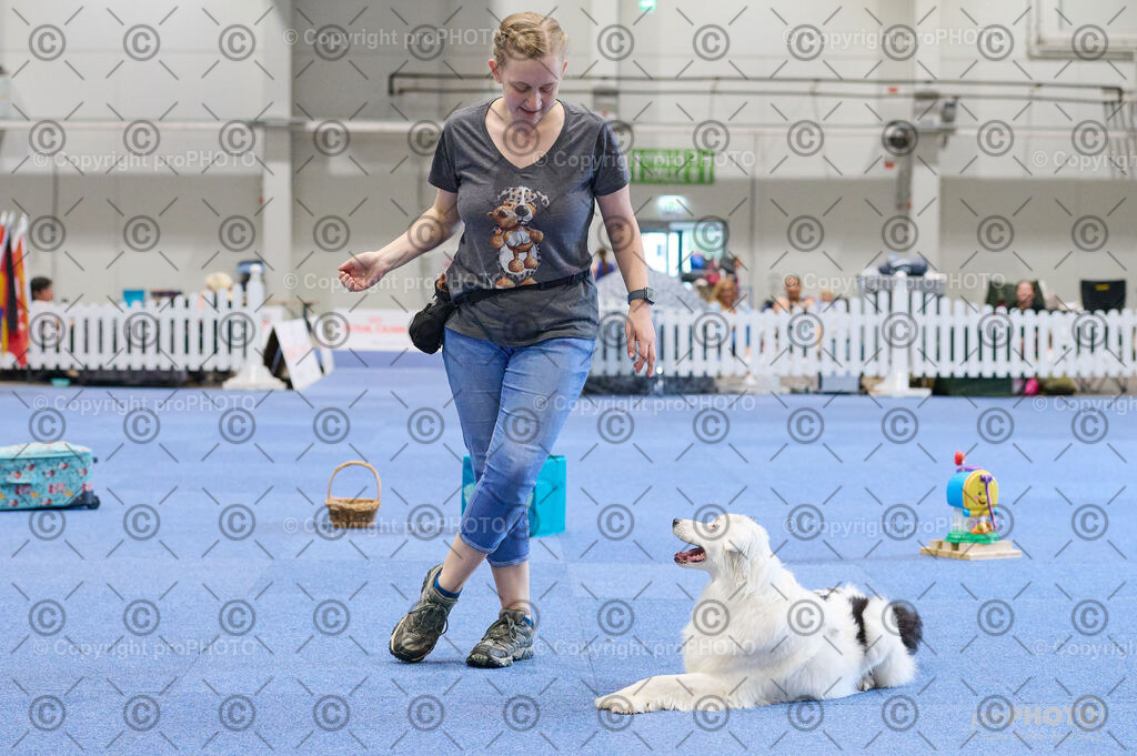 202406_ÖKV-IHA-Tulln24_DSC_4488 | proPHOTO - Realisiert mit Pictrs.com