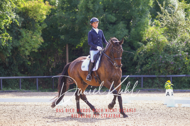 DKP41281 | Turniersportfotografie; Pferdefotografie; Dressurfotografie