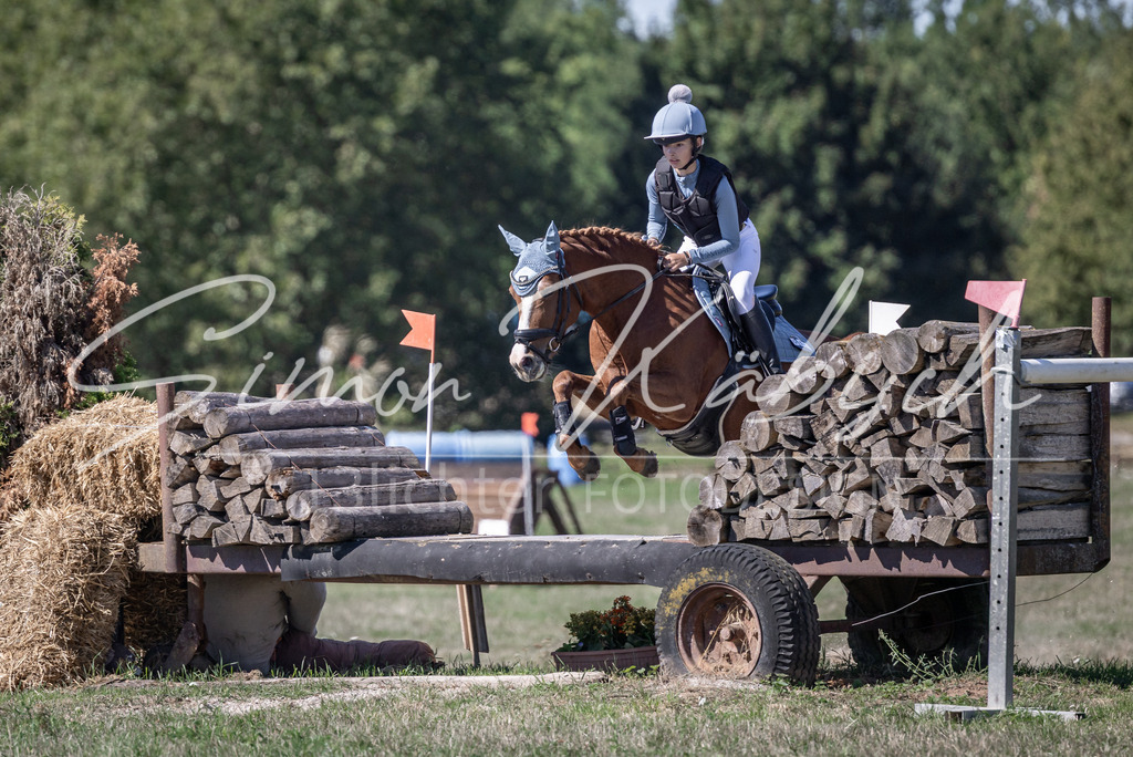20260906-_3LI3015 | Tierfotografie Pferde, Hunde, Katzen, Haustiere.
Turnierfotografie Reitturniere, Reiten, Springreiten, Dressur in Hanau, dem Main-Kinzig-Kreis und dem Rhein-Main- Gebiet um Frankfurt