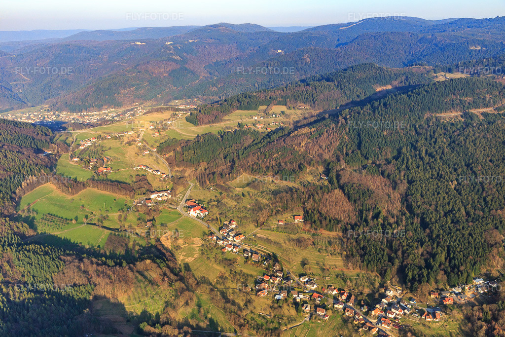 Luftbild: Ortsansicht von Westen im Ortsteil Neusatz in Bühl im Bundesland Baden-Württemberg in Deutschland. Foto: IMG_097722.jpg vom 16.03.2017 durch Werner Riehm/FLY-FOTO.de