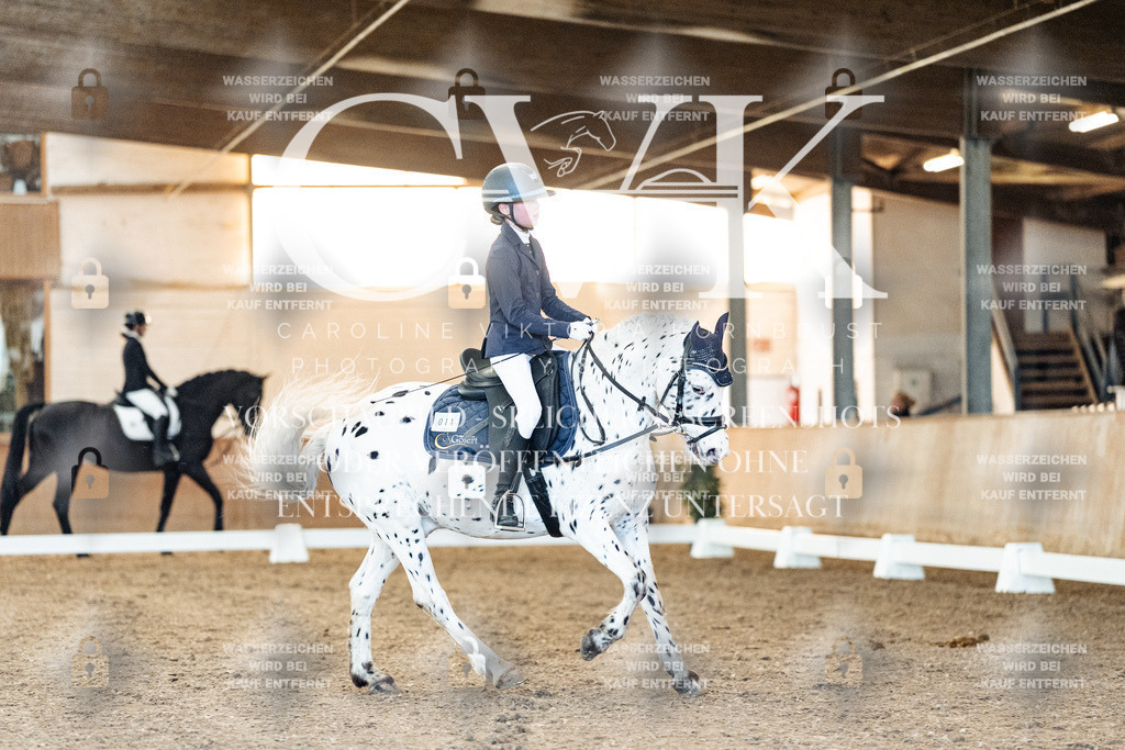 CK906855 | Turnierfotografie Pferdefotografie Trier Rheinland-Pfalz Pferdesport Reitsport Tierfotografie Sportfotografie Pferdevideo Pferdevideografie Equestrianvideography equestrianphotography  - Realisiert mit Pictrs.com
