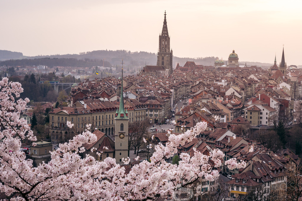 historic olttown of Bern during scenic cherry blossom in Rosengarten | Die ideale Geschenkidee für Naturliebhaber. Naturbilder von Marcel Gross Photography für ihr Zuhause in den verschiedensten Formaten und Materialien. - Realisiert mit Pictrs.com