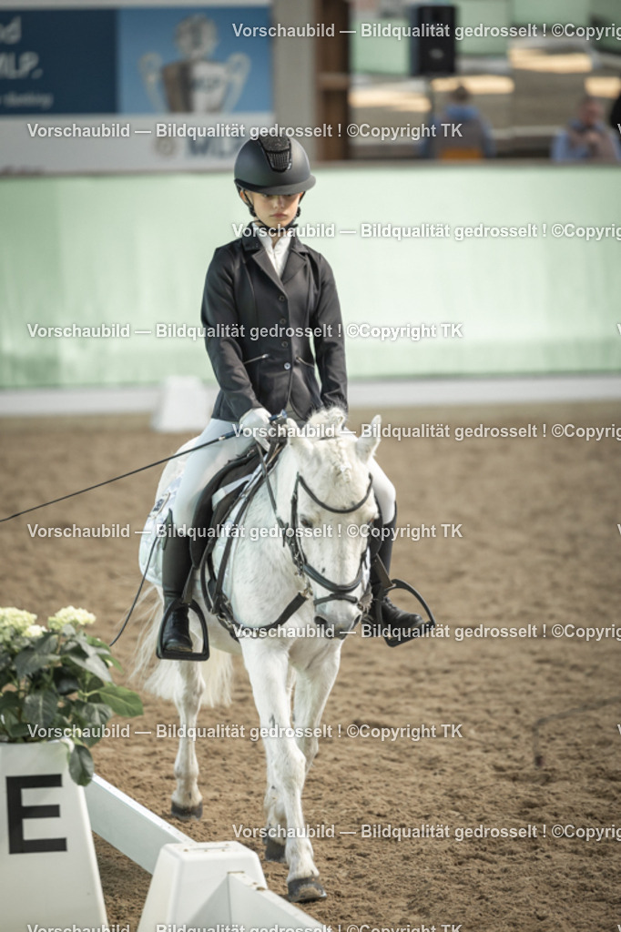 _D5A5650 | Emotionale Pferde- & People-Fotografie rund um Heidelberg, Leimen & Umgebung. Natürliche Fotos von Pferd, Mensch & Familie. Jetzt Termin sichern!