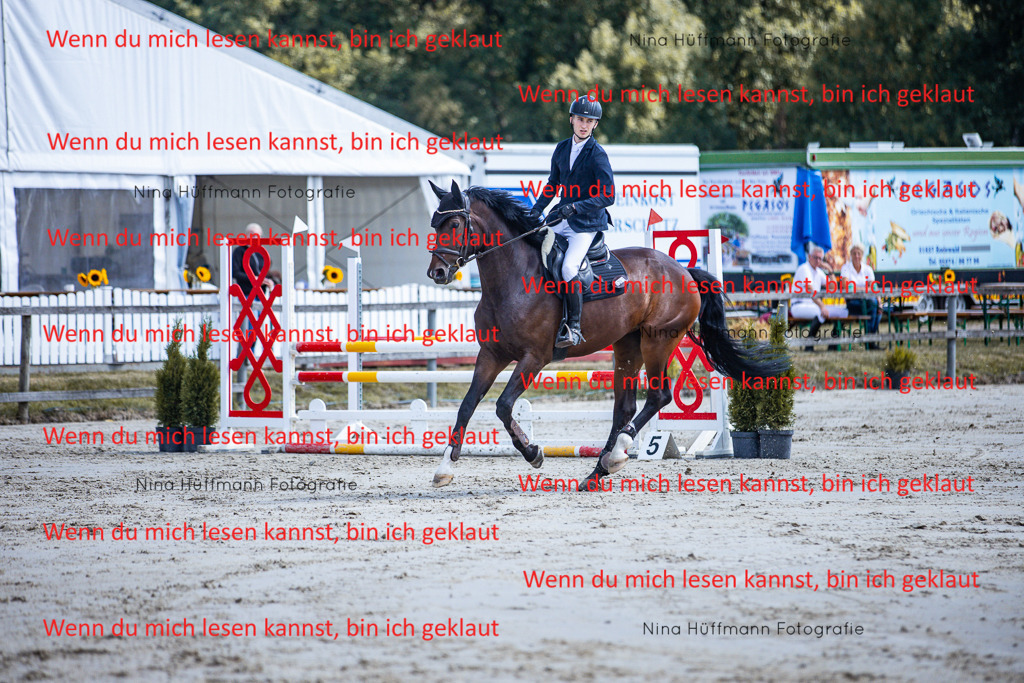 BK1A5105 | Turnierbilder Turnierfotos Nina Hüffmann Turnierfotografie Pferdefotografie Tierzeichnung Haustierzeichnung Pferdezeichnung Hundezeichnung Videograf  - Realisiert mit Pictrs.com