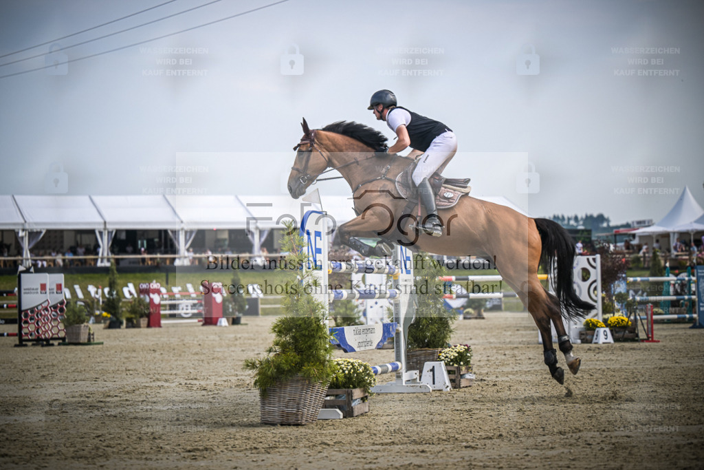 DOS_0738 | Entdecke hochwertige Reitturnierfotos von Foto Oger. Professionell, emotional und authentisch – jetzt Lieblingsmomente im Shop bestellen. - Realisiert mit Pictrs.com