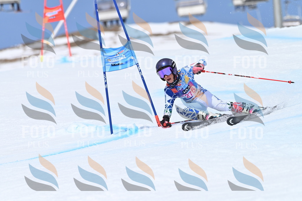 BGV_2333 | holidayphoto