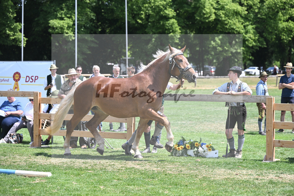 Kat-Nr. 54 Elsa_Albrecht_20230860 | hf-fotografie - Realisiert mit Pictrs.com