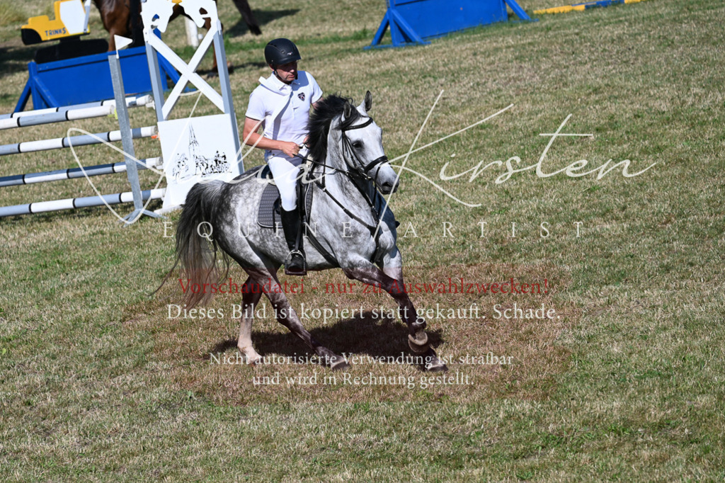 DSC_2231 | Pferde- und Turnierfotografie in Westsachsen. Pferdeportraits, Auftragszeichnungen und intuitive Kunst.