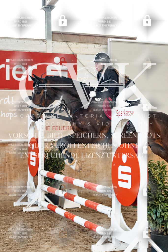 CK904515 | Turnierfotografie Pferdefotografie Trier Rheinland-Pfalz Pferdesport Reitsport Tierfotografie Sportfotografie Pferdevideo Pferdevideografie Equestrianvideography equestrianphotography  - Realisiert mit Pictrs.com
