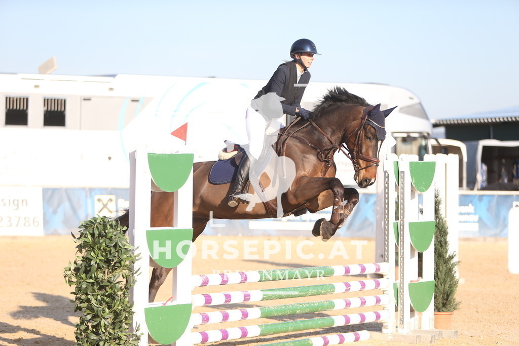 DL2Q8089 | Willkommen bei Brunnmayr - Design & Fotografie – Ihrem Spezialisten für Reitturniere und Pferdeveranstaltungen in Oberösterreich, Salzburg und Bayern! Seit über 17 Jahren sind wir leidenschaftlich dabei.