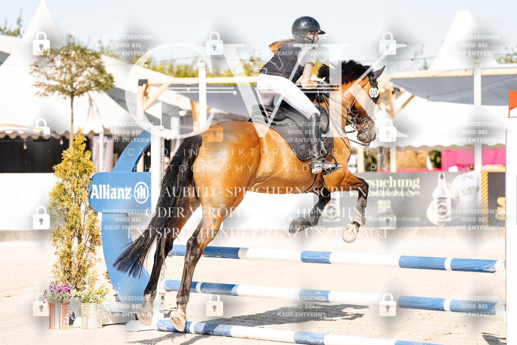 CK905138 | Turnierfotografie Pferdefotografie Trier Rheinland-Pfalz Pferdesport Reitsport Tierfotografie Sportfotografie Pferdevideo Pferdevideografie Equestrianvideography equestrianphotography  - Realisiert mit Pictrs.com