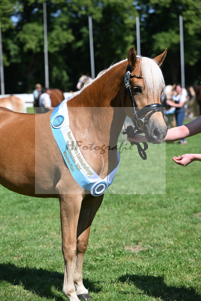 Kat-Nr. 24 Bel Amour v. Armani Ass_Aicher_18251396 | hf-fotografie - Realizzato con Pictrs.com