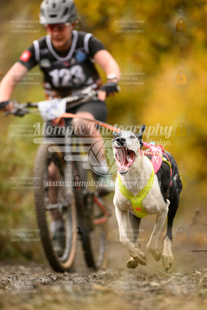 MompixPhotography_ICF_WC_2024_SA_Bike_-104 | PayLife