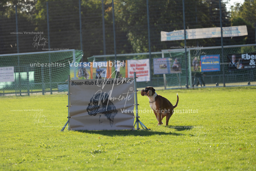 _16A4848 | Einzigartige Fotos von Hunden & Menschen –Actionfotos, Portraits, Vereinsaufnahmen & Paarshootings – authentisch, lebendig & mit Herz.