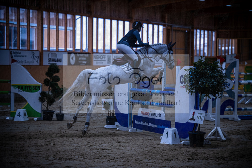 DOS_1003 | Entdecke hochwertige Reitturnierfotos von Foto Oger. Professionell, emotional und authentisch – jetzt Lieblingsmomente im Shop bestellen.Deutschlandweite Turnierfotografie. - Realisiert mit Pictrs.com