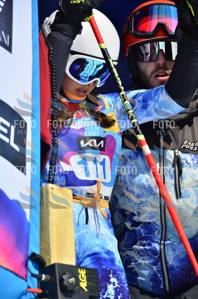 _ELE0645 | holidayphoto