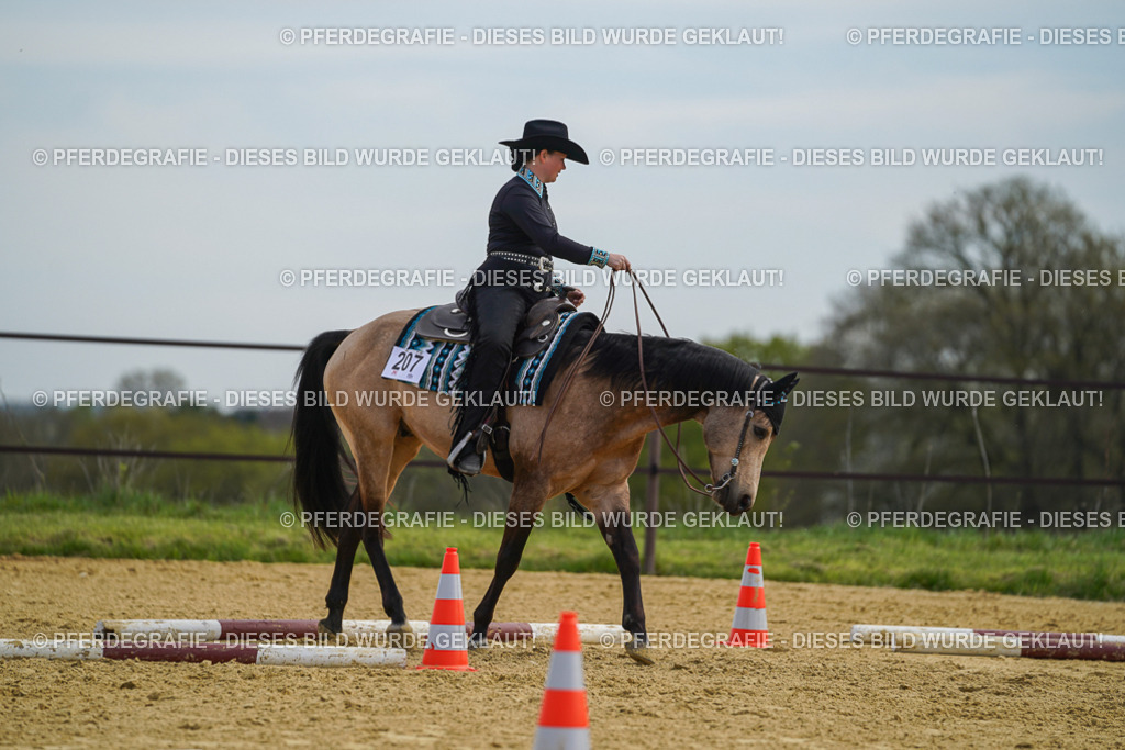 DSC03842 | Pferdegrafie