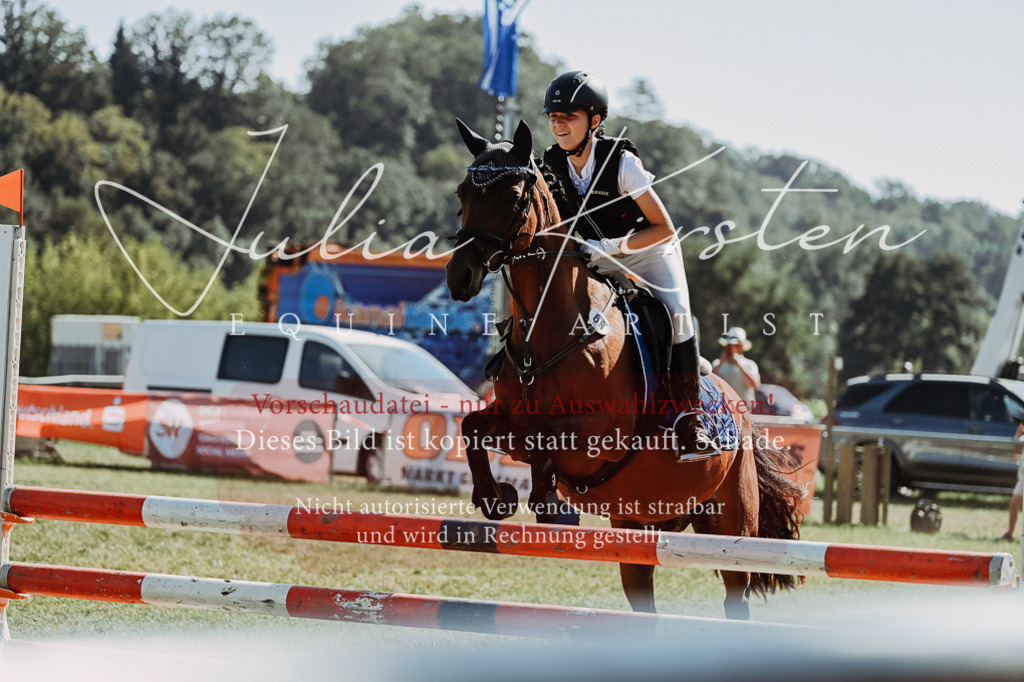 DSC_6929 | Pferde- und Turnierfotografie in Westsachsen. Pferdeportraits, Auftragszeichnungen und intuitive Kunst.