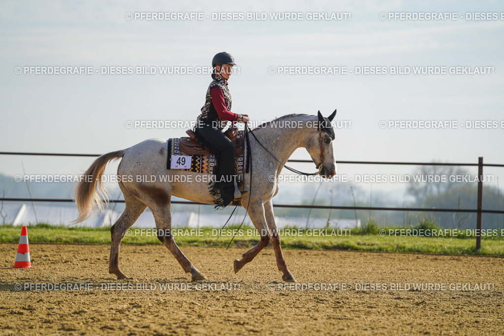 DSC00840 | Pferdegrafie