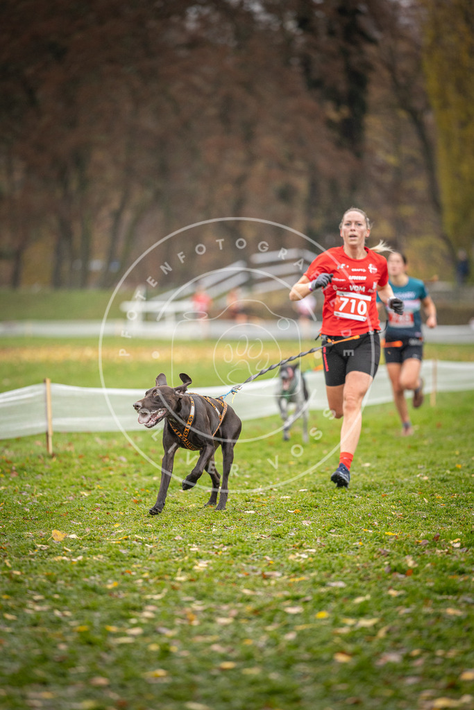 CaniXpix_DV3A9184 | Hundefotografie, Tierfotograf, Pfotenfotografie, Fotoshooting Hund, Hunde Portrait, Hundesport, Hundeportraits, Heideshooting, Hunde, Sportfotograf, Hundefotograf, Turnierhundsport, THS,  - Realisiert mit Pictrs.com