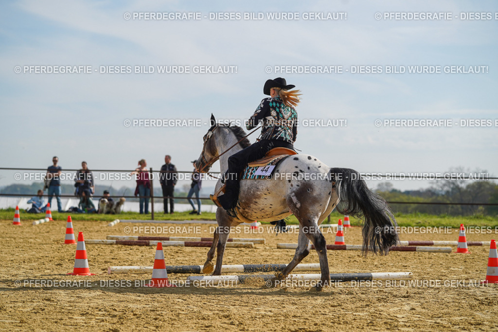 DSC01439 | Pferdegrafie