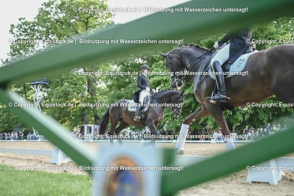 D78_3825 | equistock