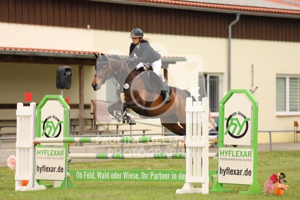 IMG_7338 | Pauline Ullmann Photography - Realisiert mit Pictrs.com