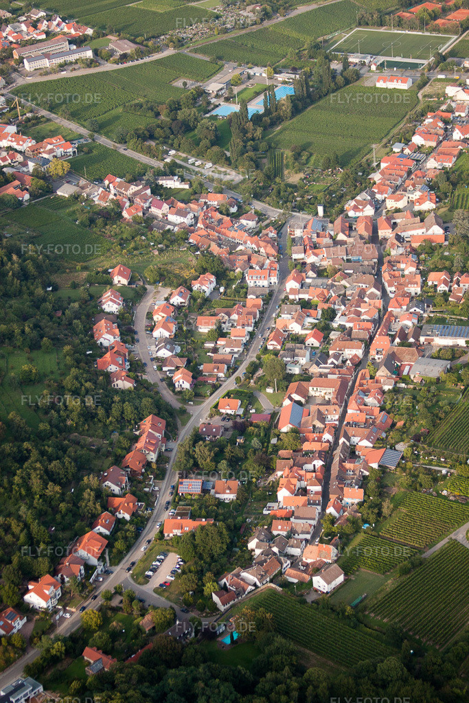 Luftbild: Unter-Hambach im Ortsteil Hambach an der Weinstraße in Neustadt im Bundesland Rheinland-Pfalz in Deutschland. Foto: IMG_33065.jpg vom 04.09.2010 durch Werner Riehm/FLY-FOTO.de