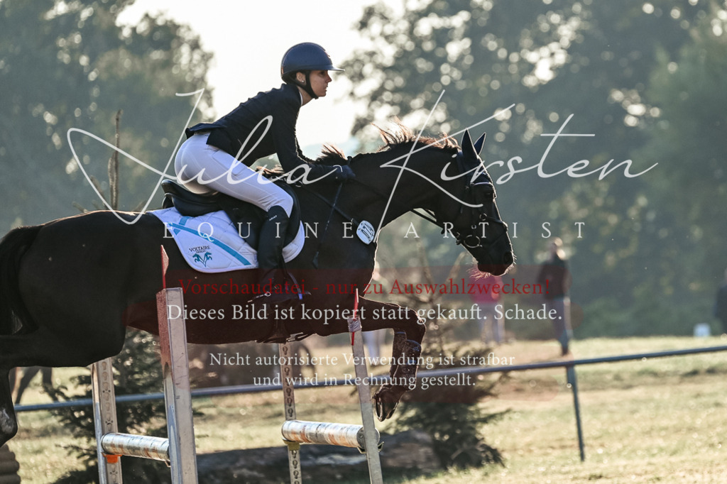DSC_3803 | Pferde- und Turnierfotografie in Westsachsen. Pferdeportraits, Auftragszeichnungen und intuitive Kunst.