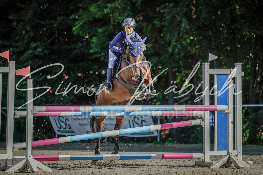 20250906-_3LI3404 | Tierfotografie Pferde, Hunde, Katzen, Haustiere.
Turnierfotografie Reitturniere, Reiten, Springreiten, Dressur in Hanau, dem Main-Kinzig-Kreis und dem Rhein-Main- Gebiet um Frankfurt