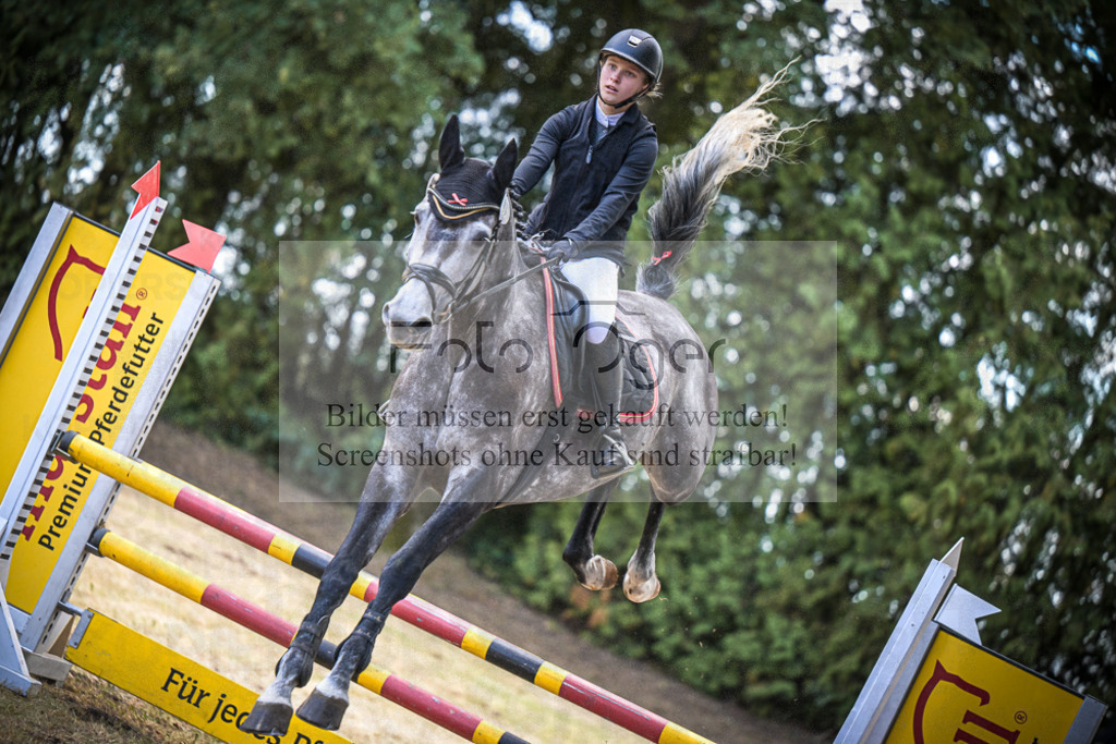 DOS_0445 | Entdecke hochwertige Reitturnierfotos von Foto Oger. Professionell, emotional und authentisch – jetzt Lieblingsmomente im Shop bestellen.Deutschlandweite Turnierfotografie. - Realisiert mit Pictrs.com