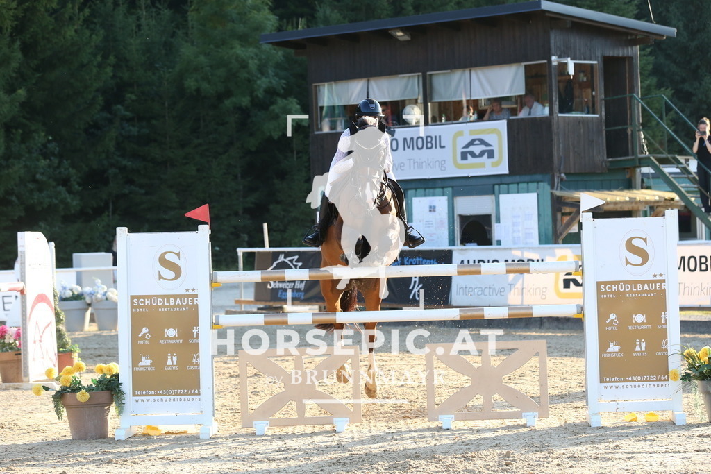 DL2Q1205 | Willkommen bei Brunnmayr - Design & Fotografie – Ihrem Spezialisten für Reitturniere und Pferdeveranstaltungen in Oberösterreich, Salzburg und Bayern! Seit über 17 Jahren sind wir leidenschaftlich dabei.