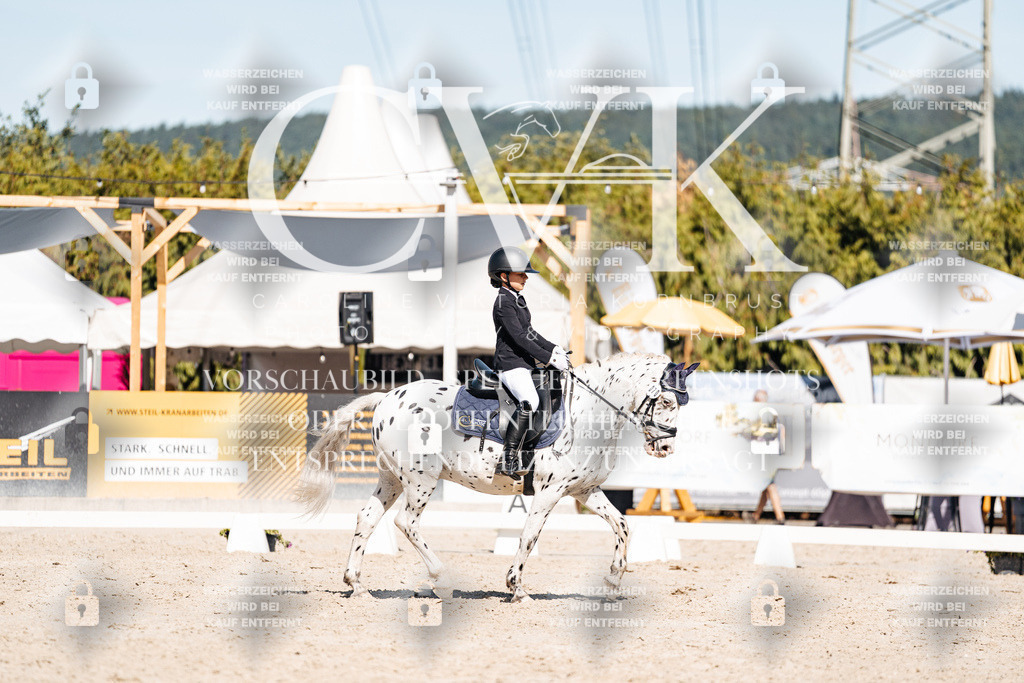 CK908529 | Turnierfotografie Pferdefotografie Trier Rheinland-Pfalz Pferdesport Reitsport Tierfotografie Sportfotografie Pferdevideo Pferdevideografie Equestrianvideography equestrianphotography  - Realisiert mit Pictrs.com